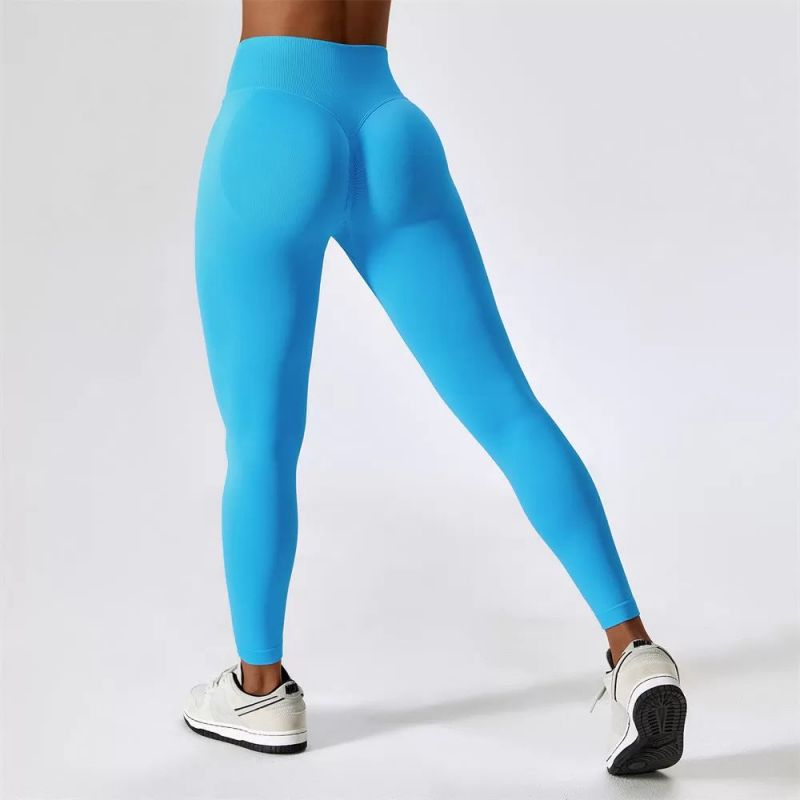 China Wholesale High Quality High Elastic Ladies Gym Leggings-C1002