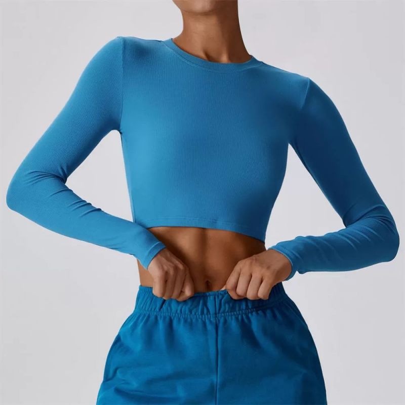 Wholesale Seamless Crew Neck Ladies Long Sleeve Gym Top-D1004